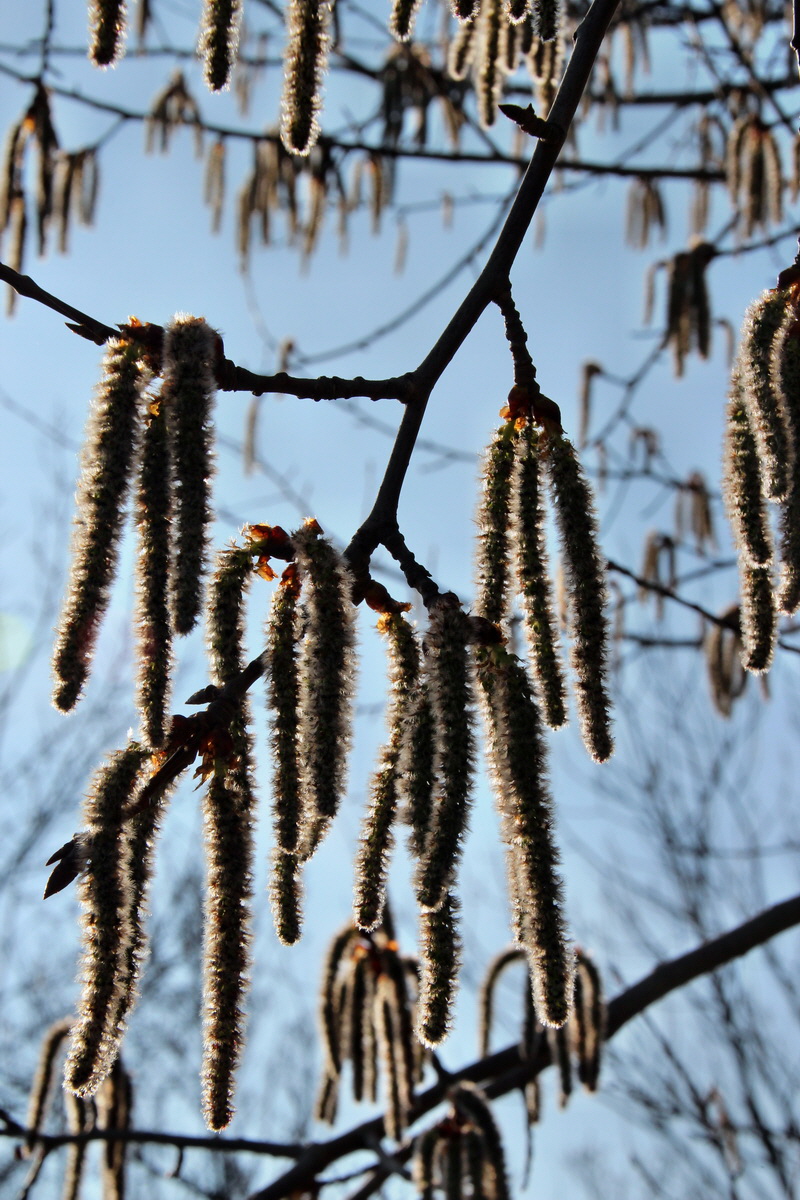 2014_03_14_00037688p_Bildgr��e �ndern