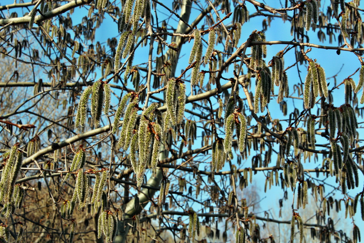 2014_03_14_00037692p_Bildgr��e �ndern