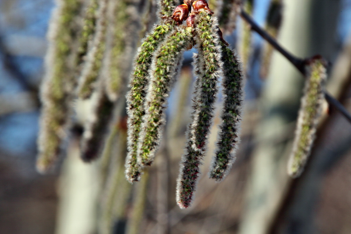 2014_03_14_00037696p_Bildgr��e �ndern