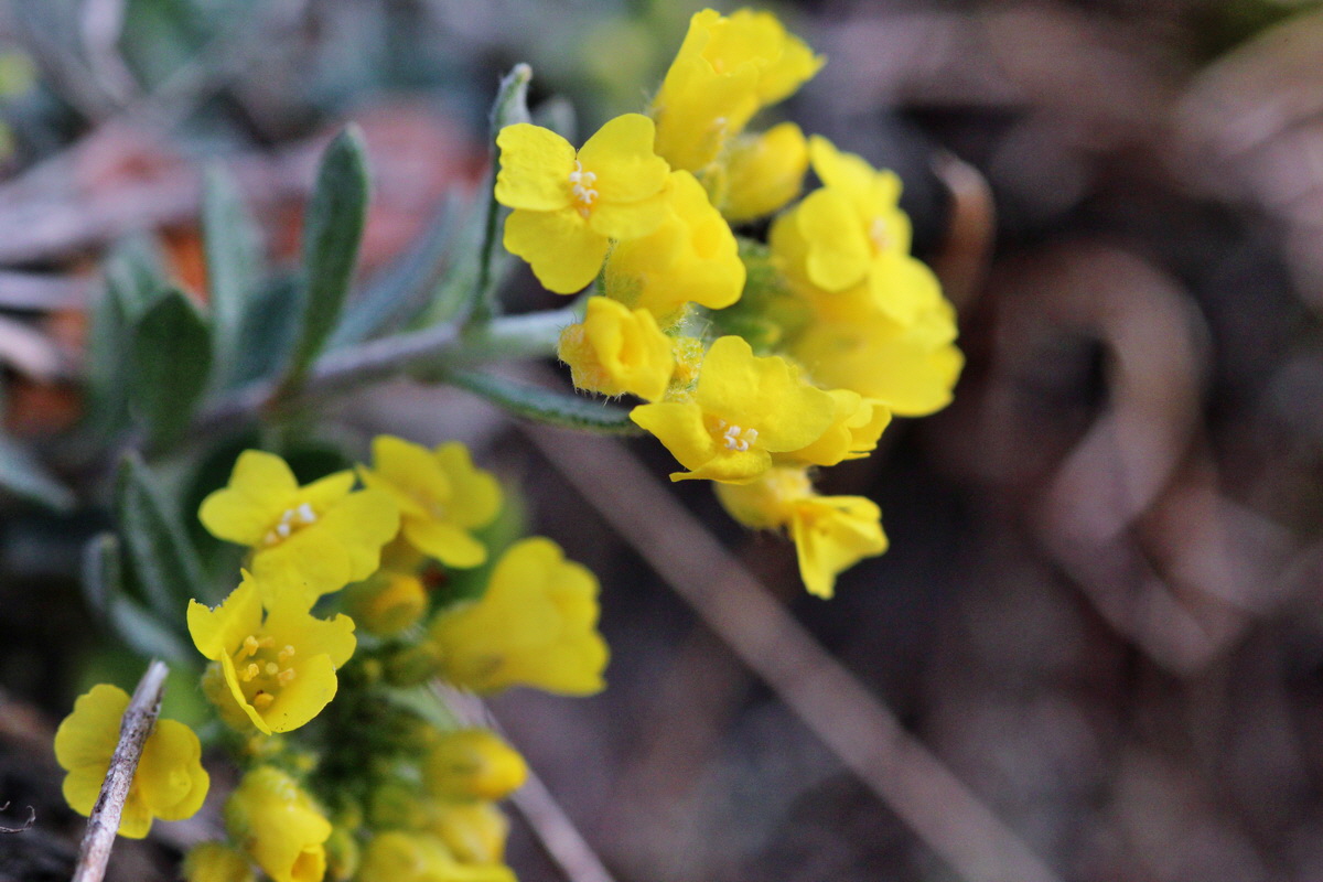 2014_03_18_00037934p_Bildgr��e �ndern