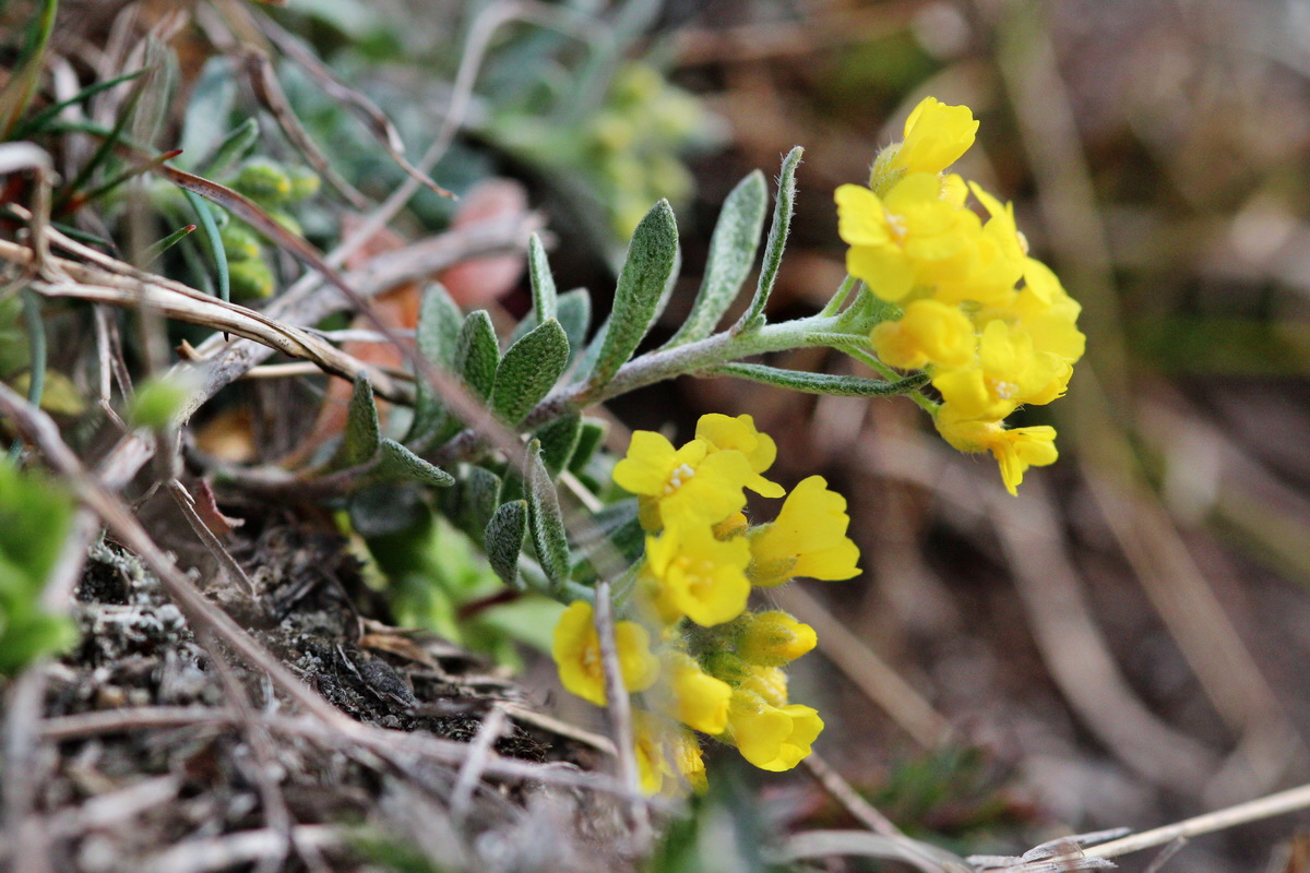 2014_03_18_00037936p_Bildgr��e �ndern