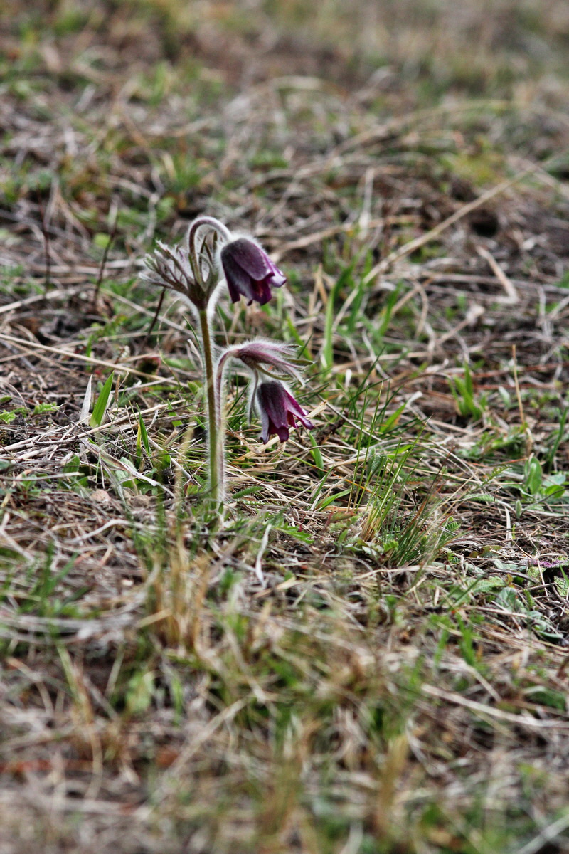 2014_03_18_00037940p_Bildgr��e �ndern