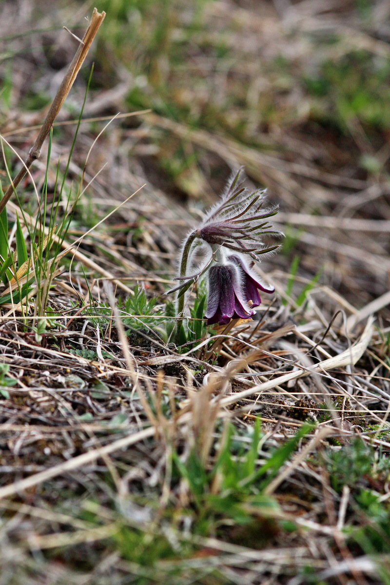 2014_03_18_00037943p_Bildgr��e �ndern