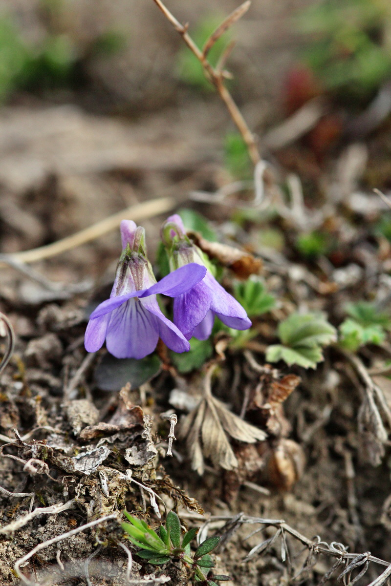 2014_03_18_00037951p_Bildgr��e �ndern