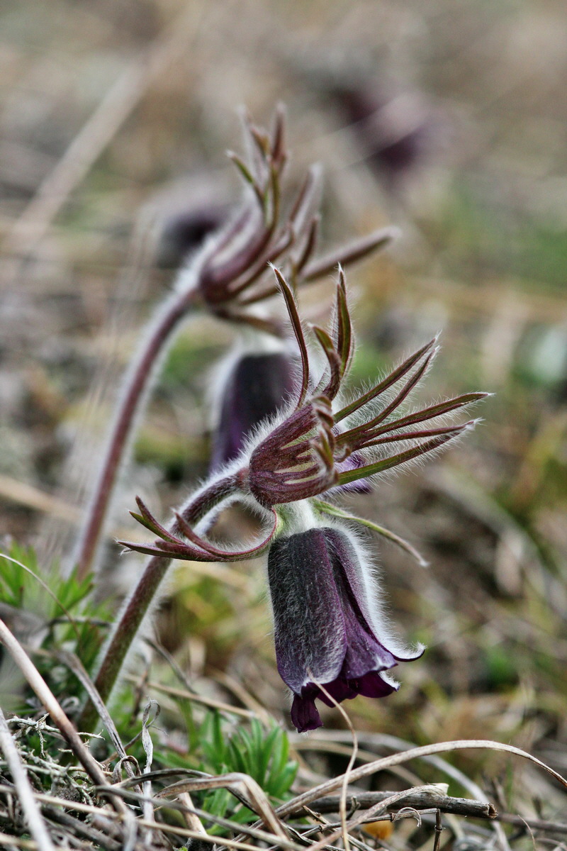 2014_03_18_00037963p_Bildgr��e �ndern