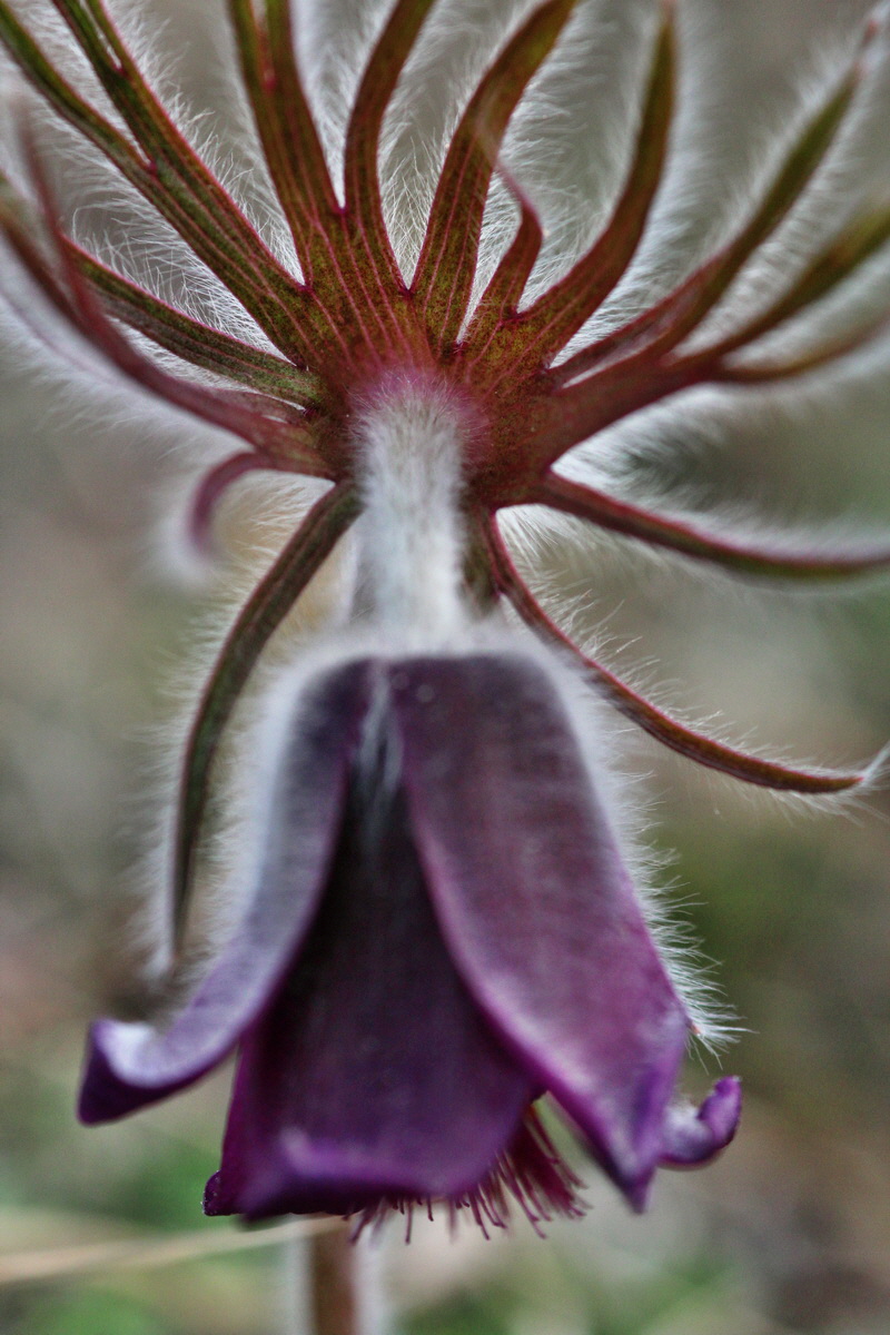 2014_03_18_00037969p_Bildgr��e �ndern