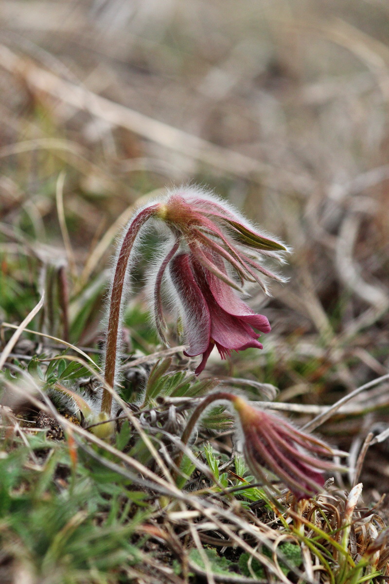 2014_03_18_00037972p_Bildgr��e �ndern