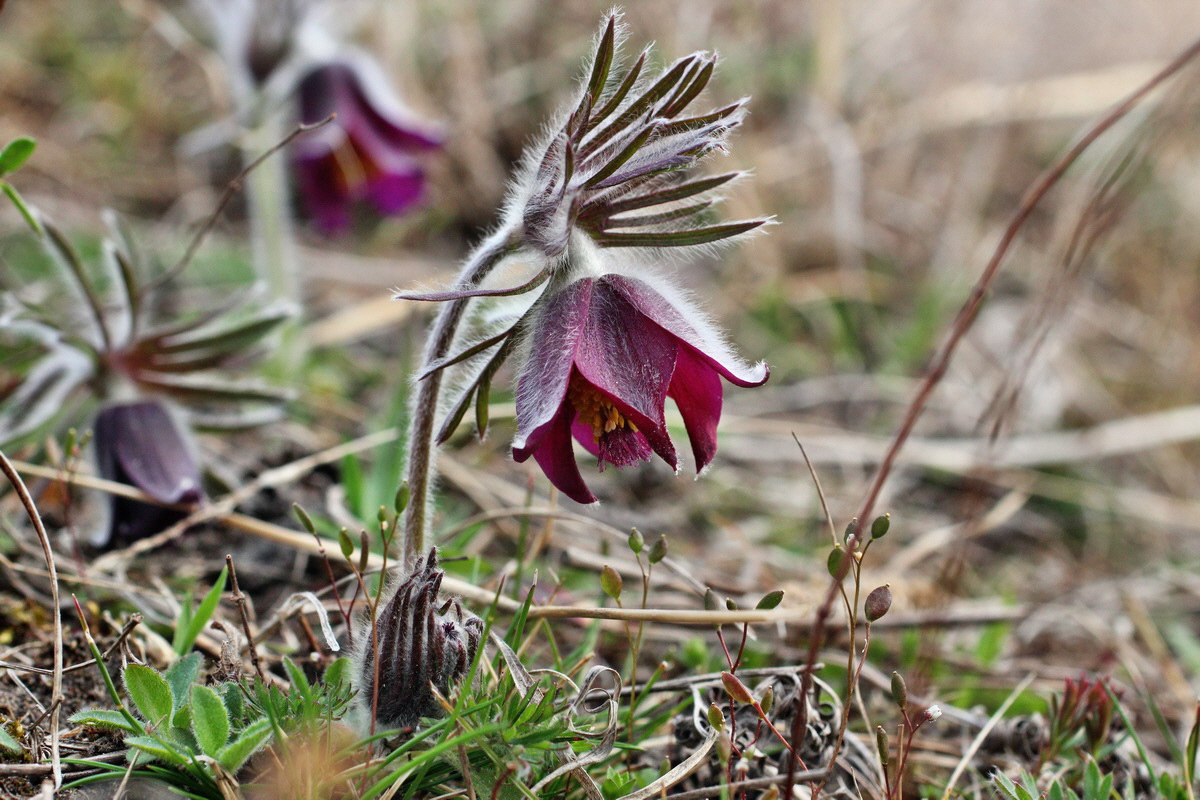 2014_03_18_00037977p_Bildgr��e �ndern