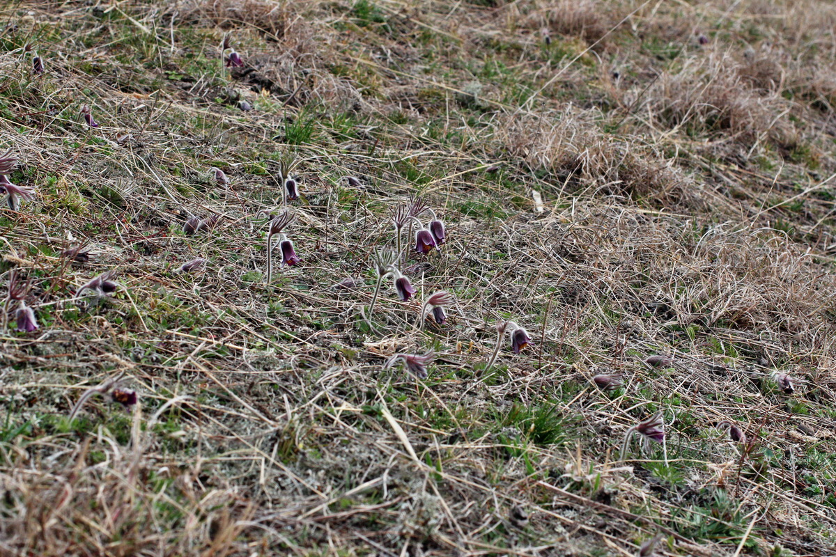 2014_03_18_00037983p_Bildgr��e �ndern