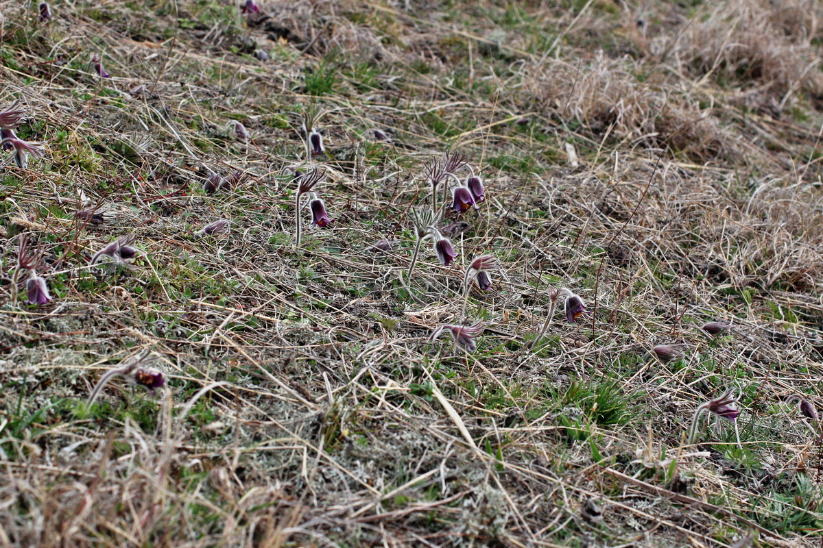 2014_03_18_00037988p_Bildgr��e �ndern