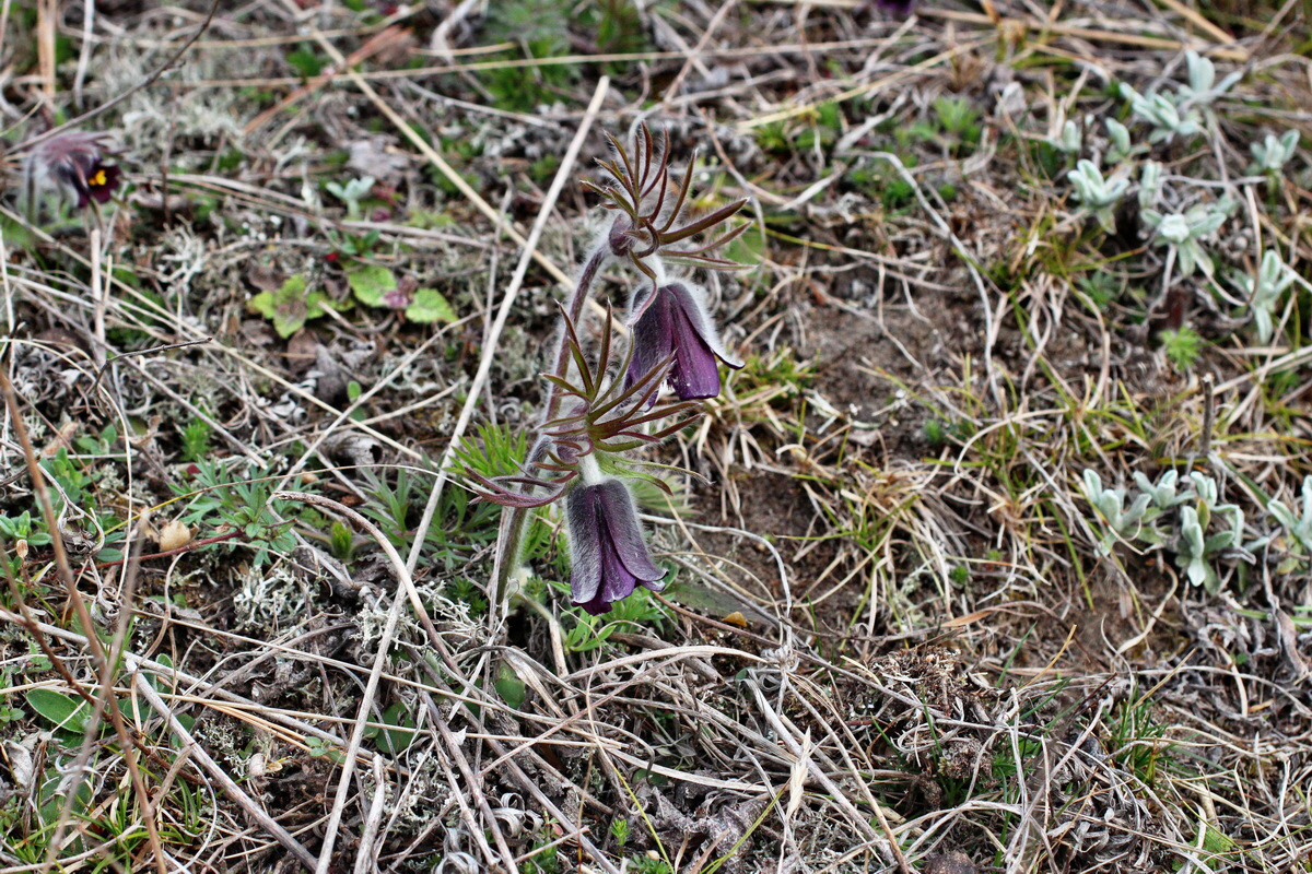 2014_03_18_00037989p_Bildgr��e �ndern