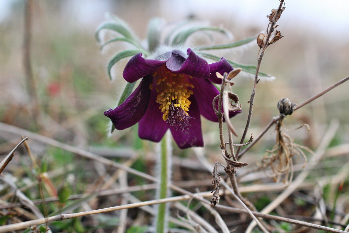 2014_03_18_00037992p_Bildgr��e �ndern