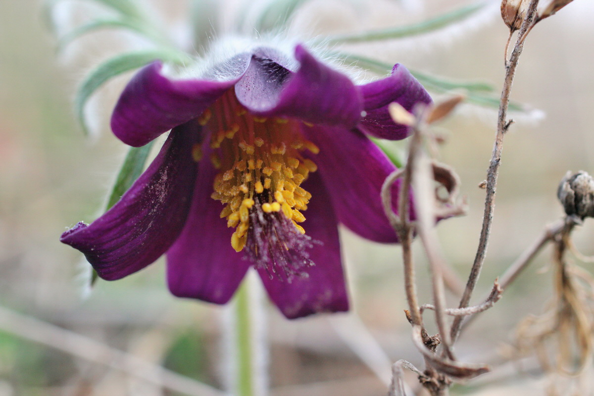 2014_03_18_00037996p_Bildgr��e �ndern