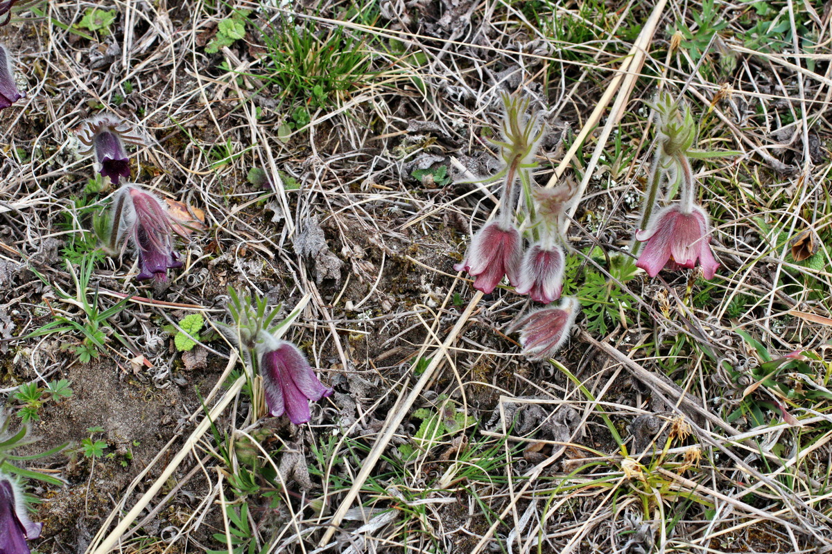 2014_03_18_00037998p_Bildgr��e �ndern