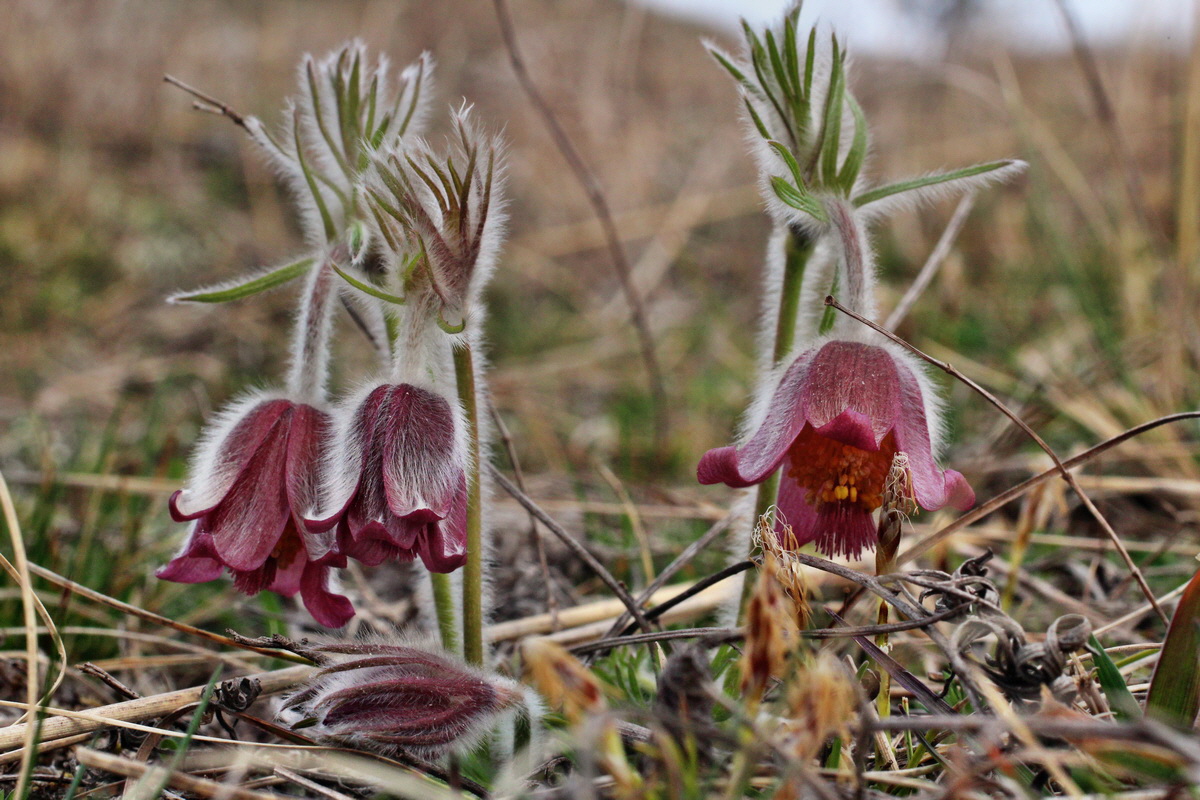 2014_03_18_00038001p_Bildgr��e �ndern