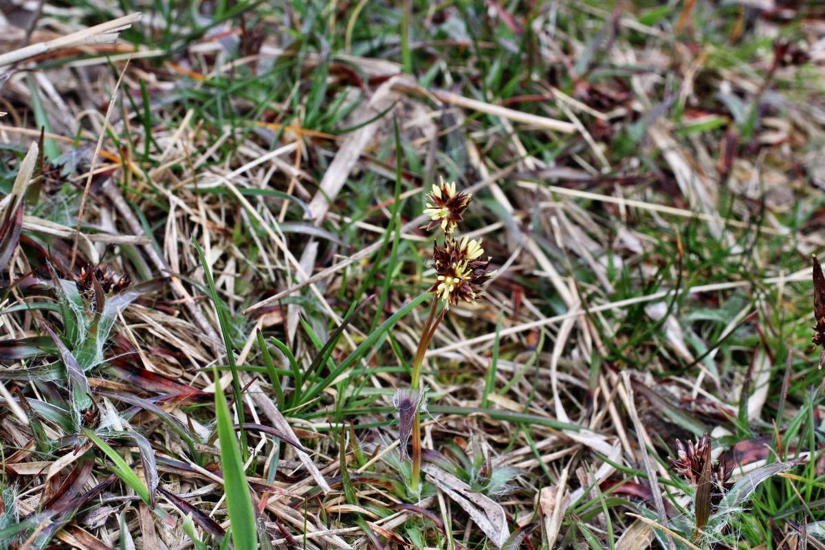 2014_03_18_00038012p_Bildgr��e �ndern