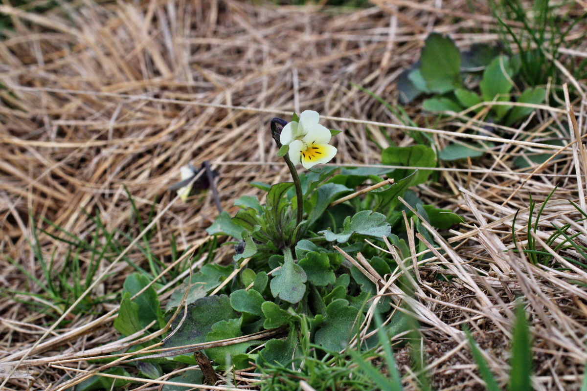 2014_03_18_00038014p_Bildgr��e �ndern