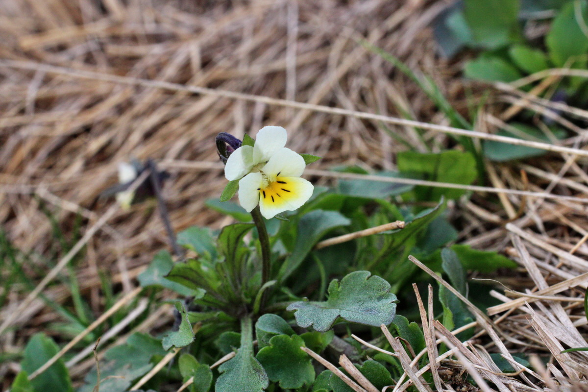 2014_03_18_00038017p_Bildgr��e �ndern