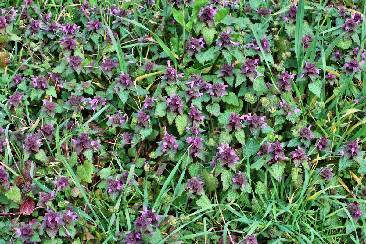 2014_03_18_00038020p_Bildgr��e �ndern