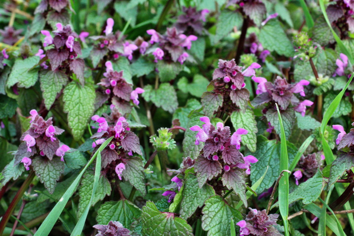 2014_03_18_00038021p_Bildgr��e �ndern