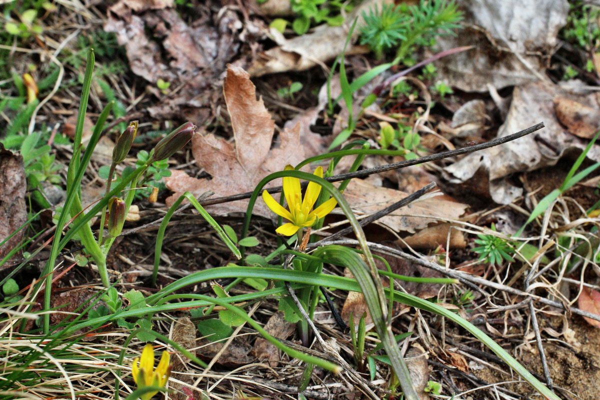 2014_03_18_00038024p_Bildgr��e �ndern