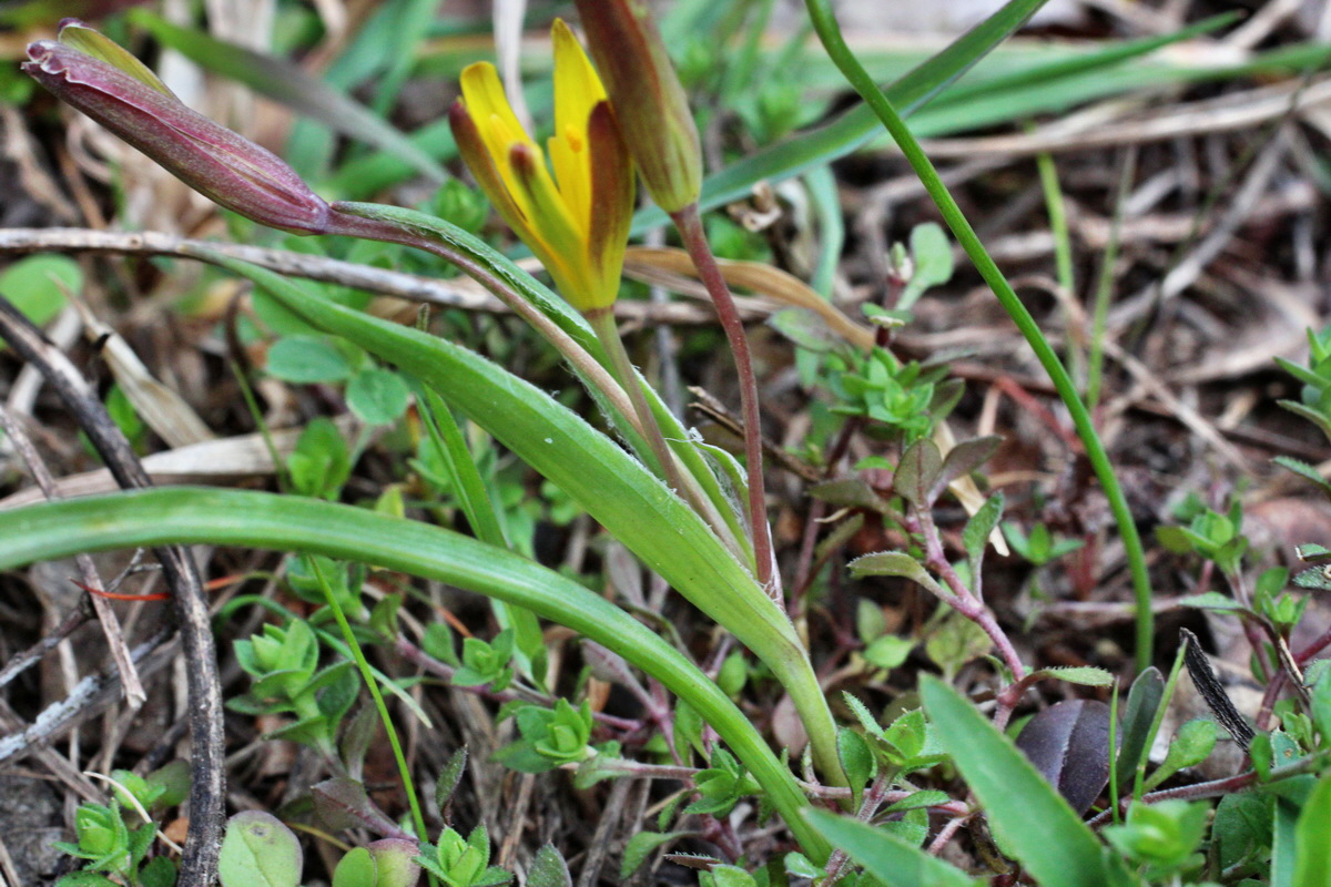 2014_03_18_00038030p_Bildgr��e �ndern