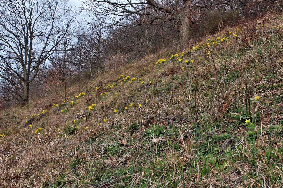 2014_03_18_00038033p_Bildgr��e �ndern