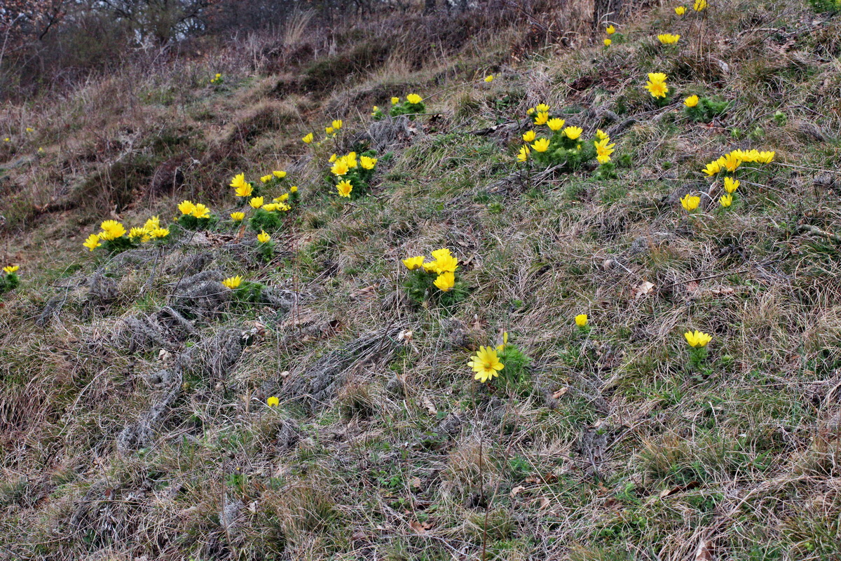 2014_03_18_00038035p_Bildgr��e �ndern