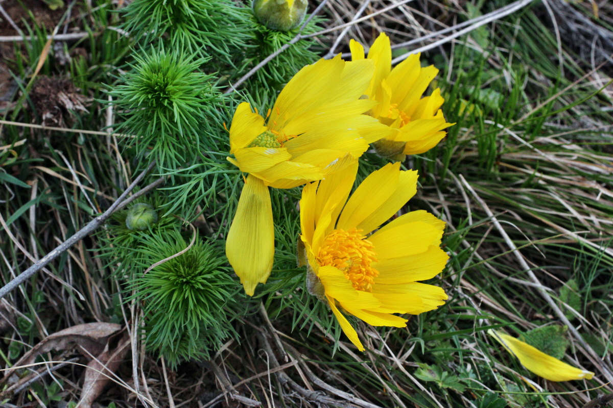 2014_03_18_00038042p_Bildgr��e �ndern