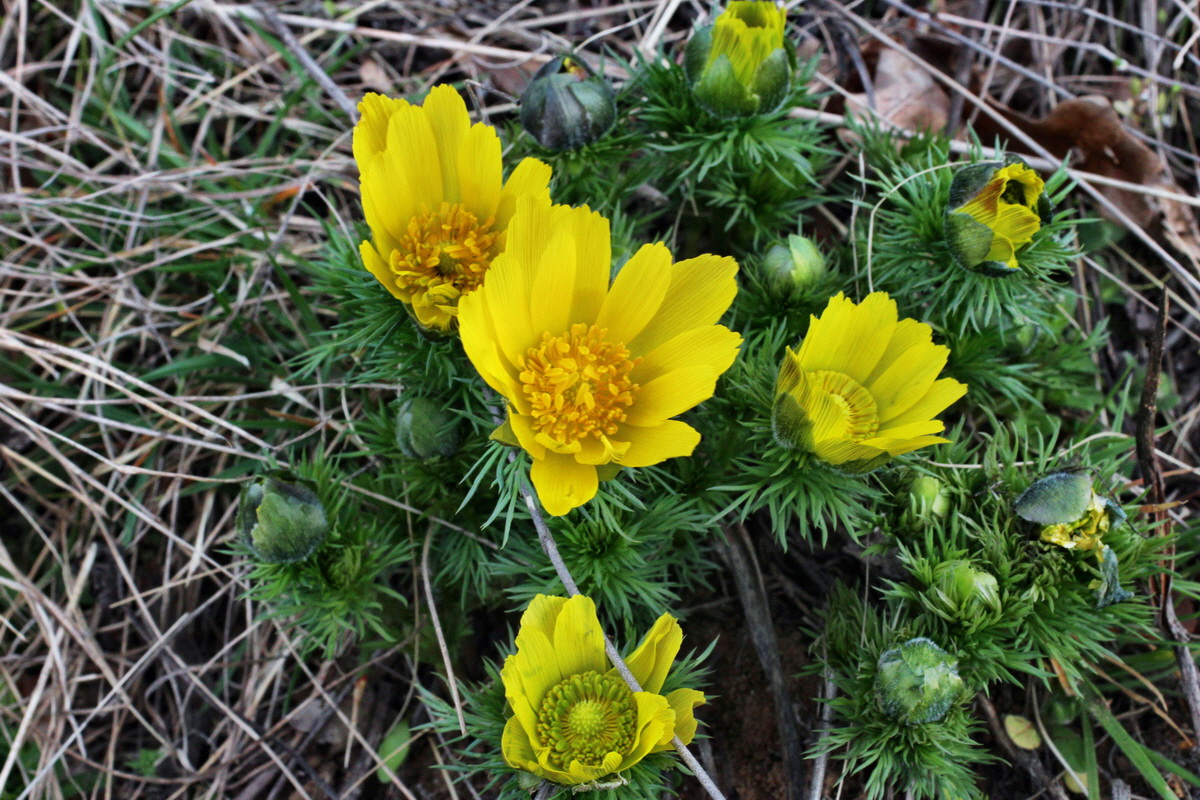 2014_03_18_00038044p_Bildgr��e �ndern