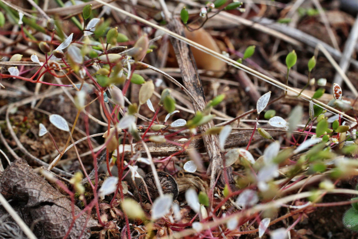 2014_03_18_00038046p_Bildgr��e �ndern