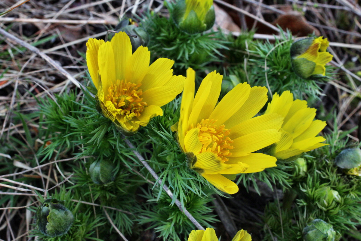 2014_03_18_00038052p_Bildgr��e �ndern