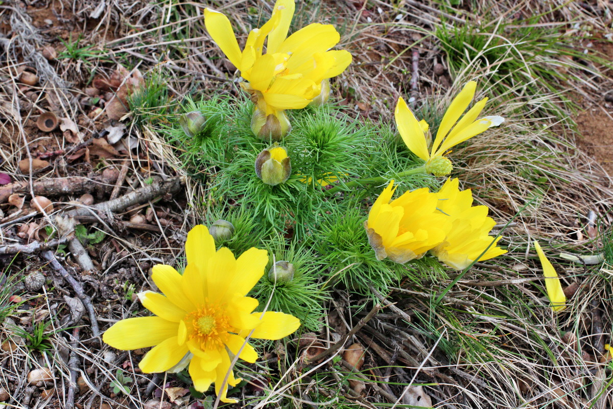 2014_03_18_00038056p_Bildgr��e �ndern