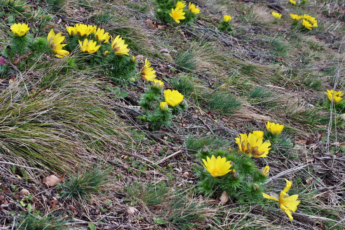 2014_03_18_00038070p_Bildgr��e �ndern