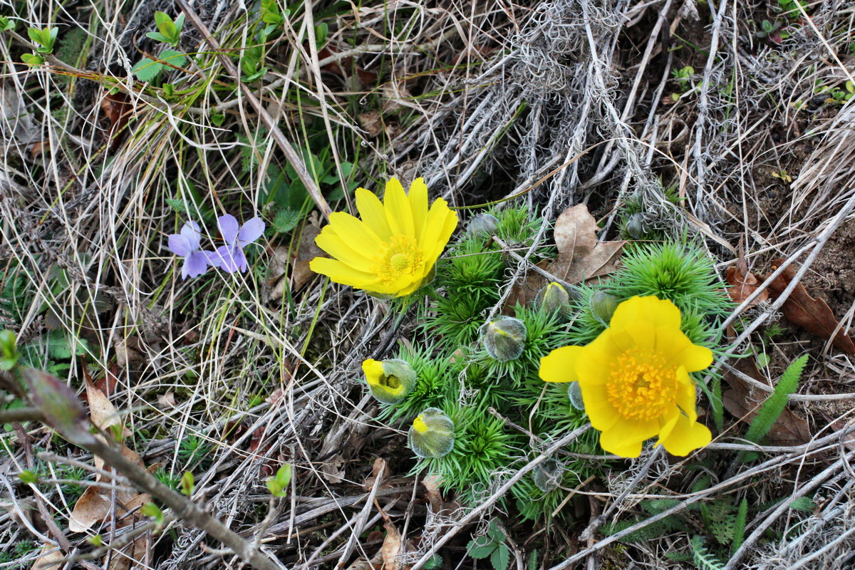 2014_03_18_00038072p_Bildgr��e �ndern