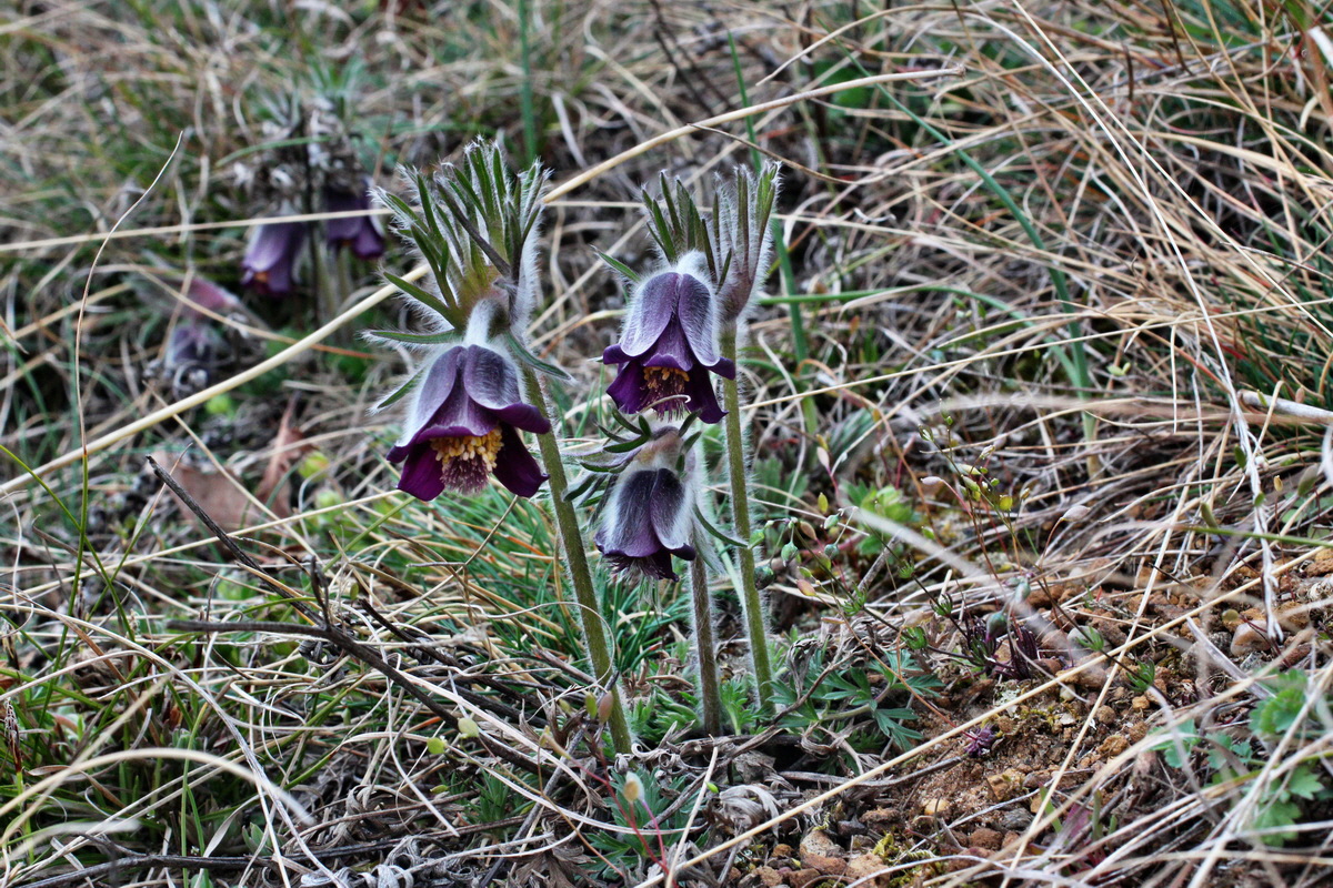 2014_03_18_00038078p_Bildgr��e �ndern