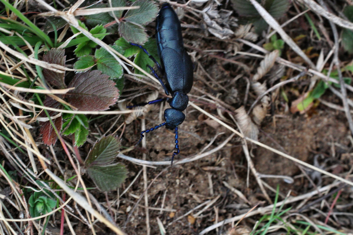 2014_03_18_00038094p_Bildgr��e �ndern