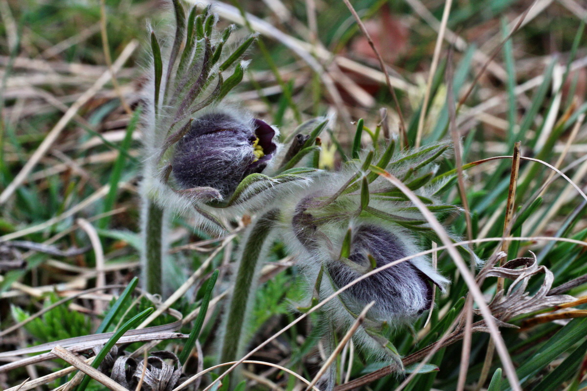 2014_03_18_00038099p_Bildgr��e �ndern