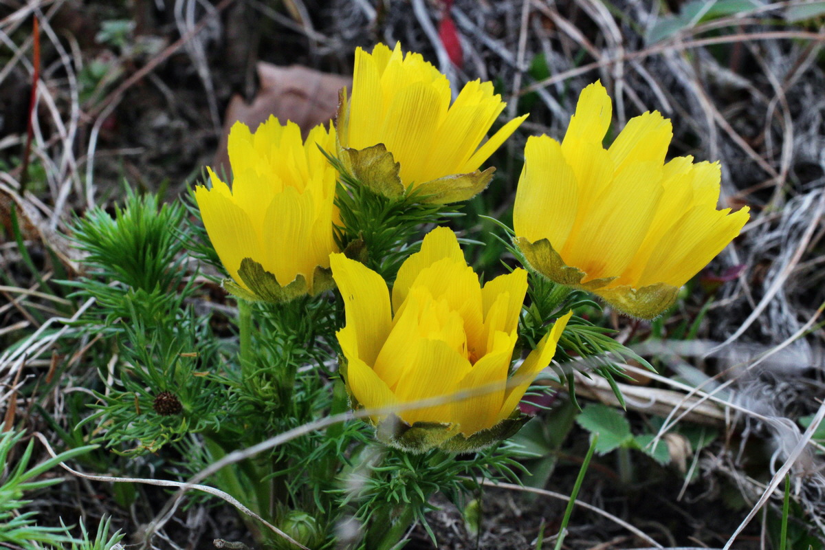 2014_03_18_00038102p_Bildgr��e �ndern