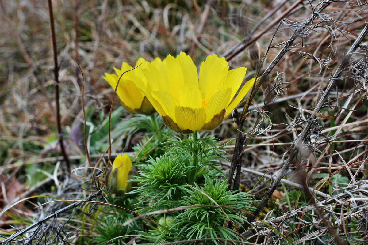 2014_03_18_00038104p_Bildgr��e �ndern