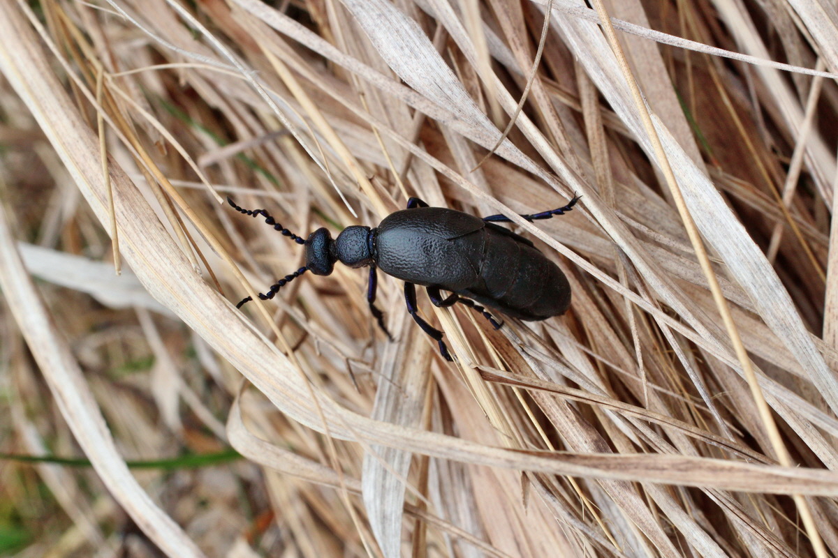 2014_03_18_00038108p_Bildgr��e �ndern