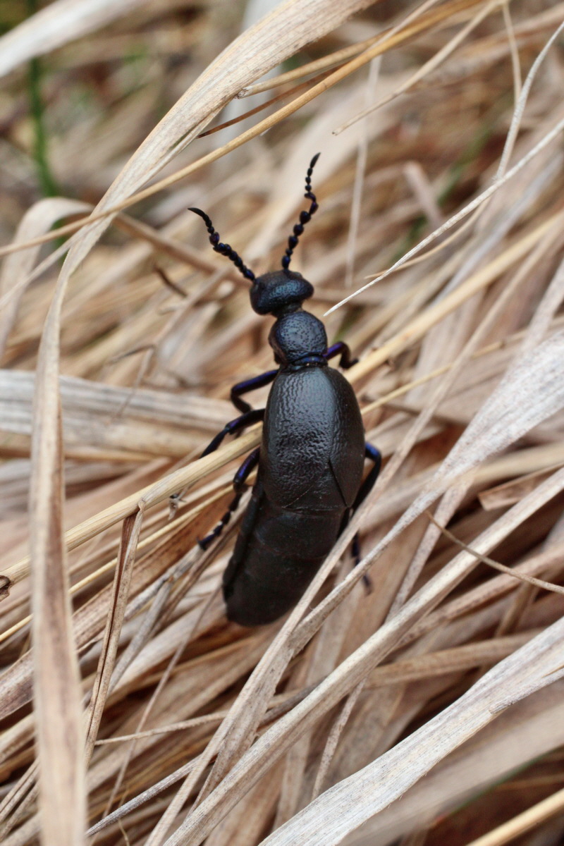 2014_03_18_00038110p_Bildgr��e �ndern