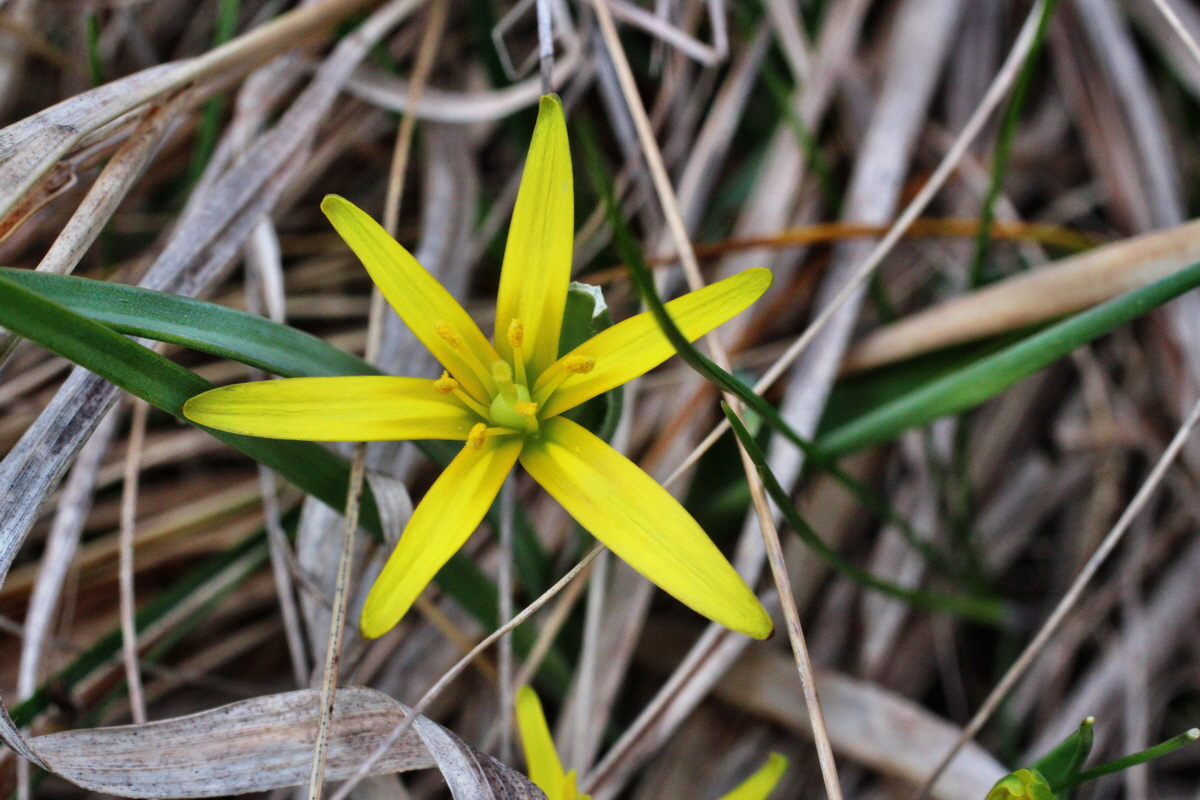 2014_03_18_00038114p_Bildgr��e �ndern