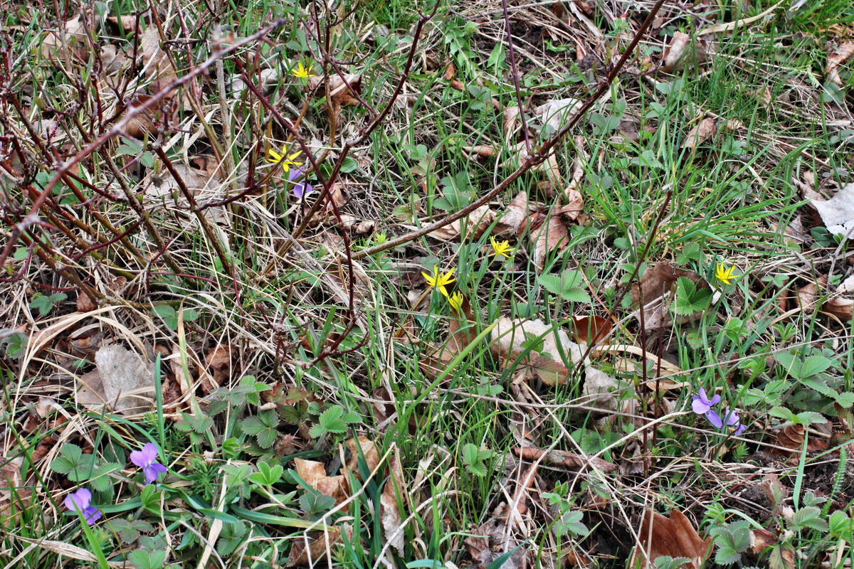 2014_03_18_00038122p_Bildgr��e �ndern