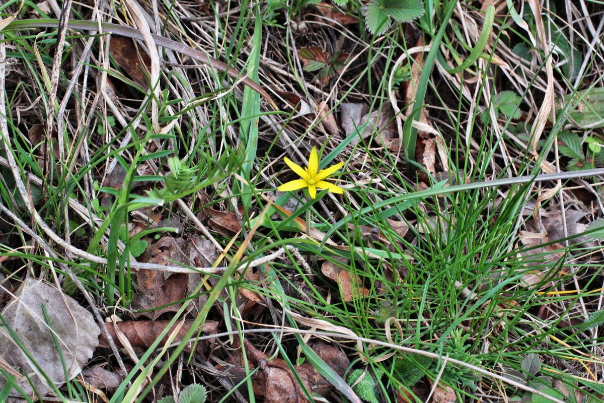 2014_03_18_00038127p_Bildgr��e �ndern