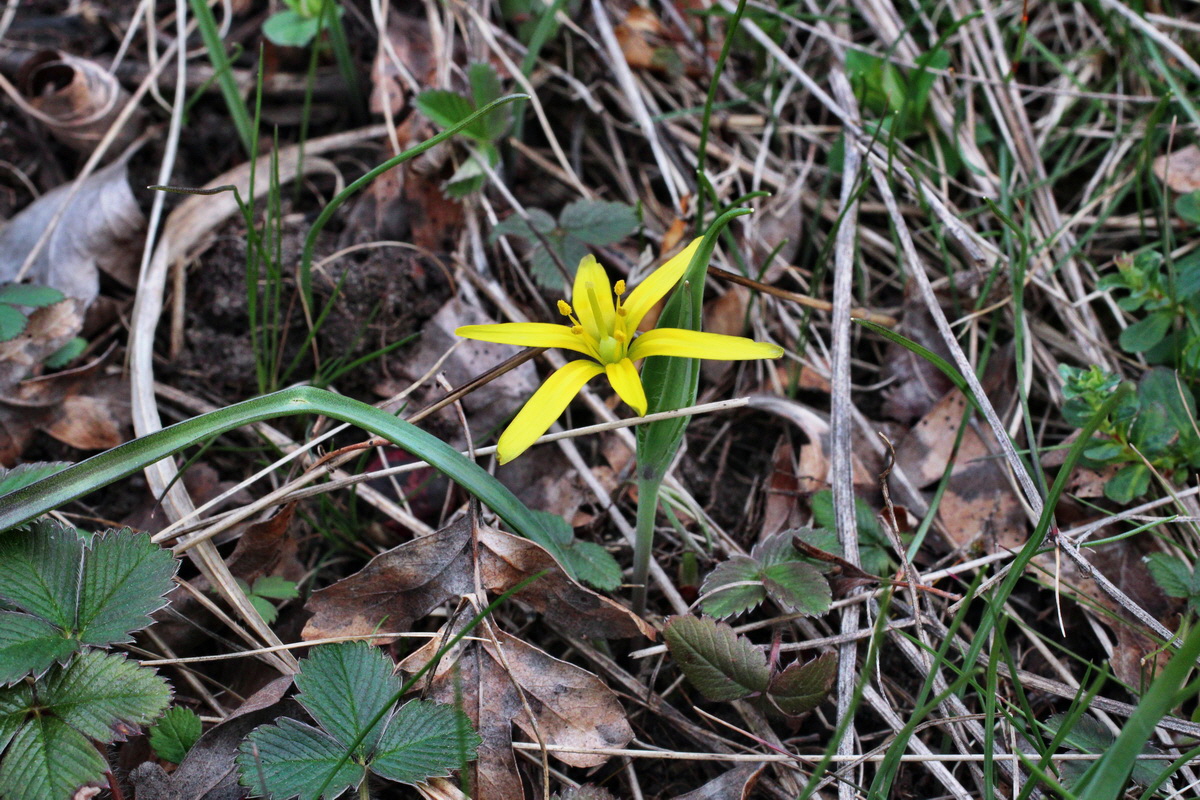 2014_03_18_00038129p_Bildgr��e �ndern