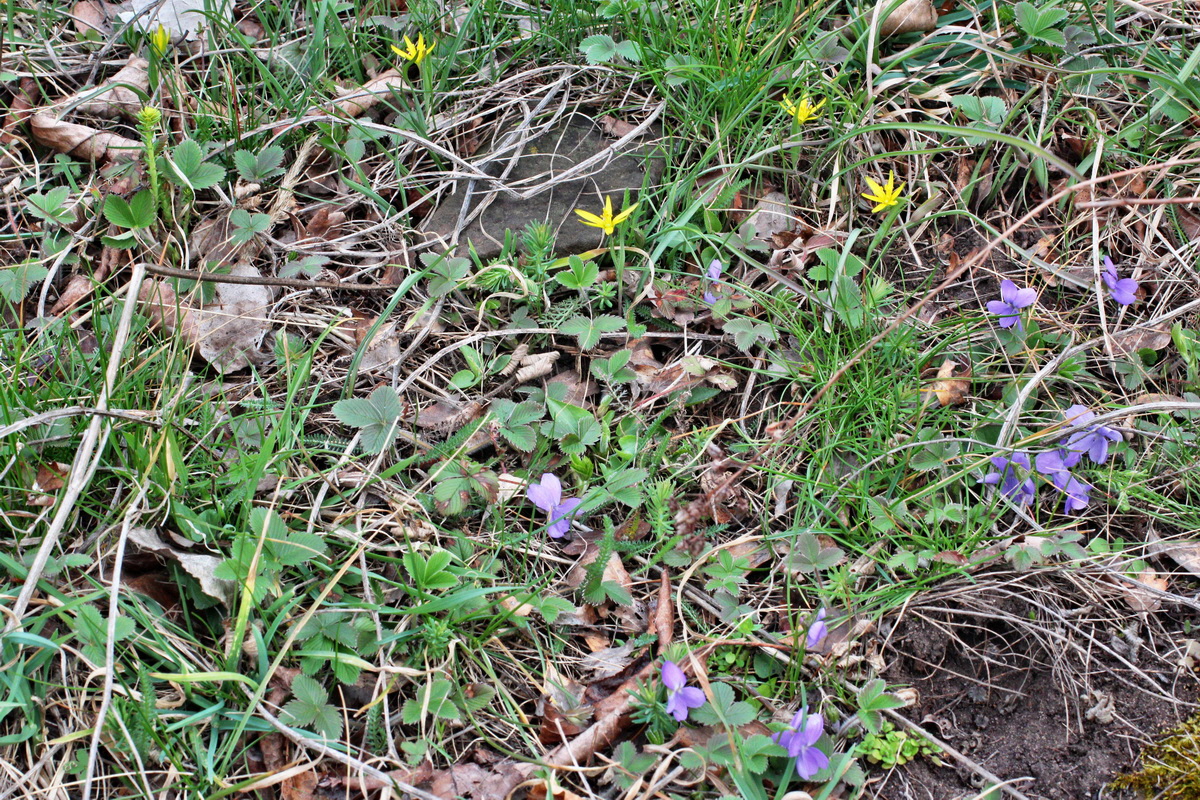 2014_03_18_00038132p_Bildgr��e �ndern