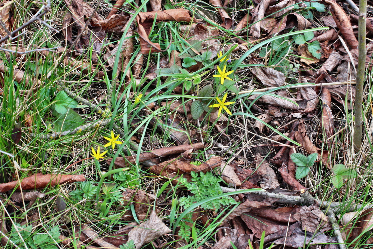 2014_03_18_00038135p_Bildgr��e �ndern