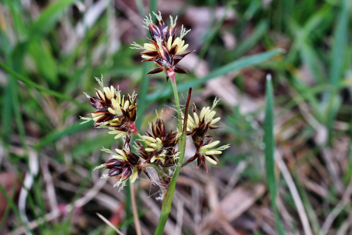 2014_03_18_00038137p_Bildgr��e �ndern