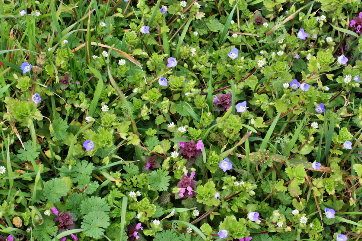 2014_03_18_00038149p_Bildgr��e �ndern